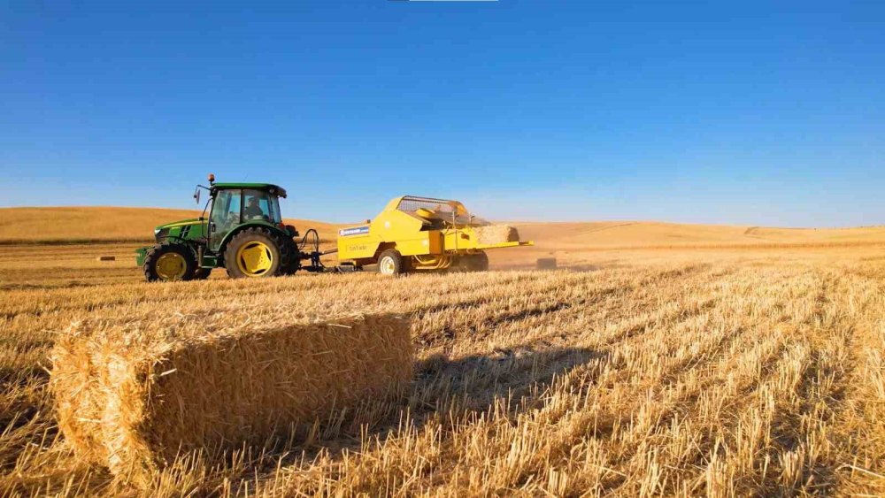 Hasat yapan çiftçiye çifte uyarı