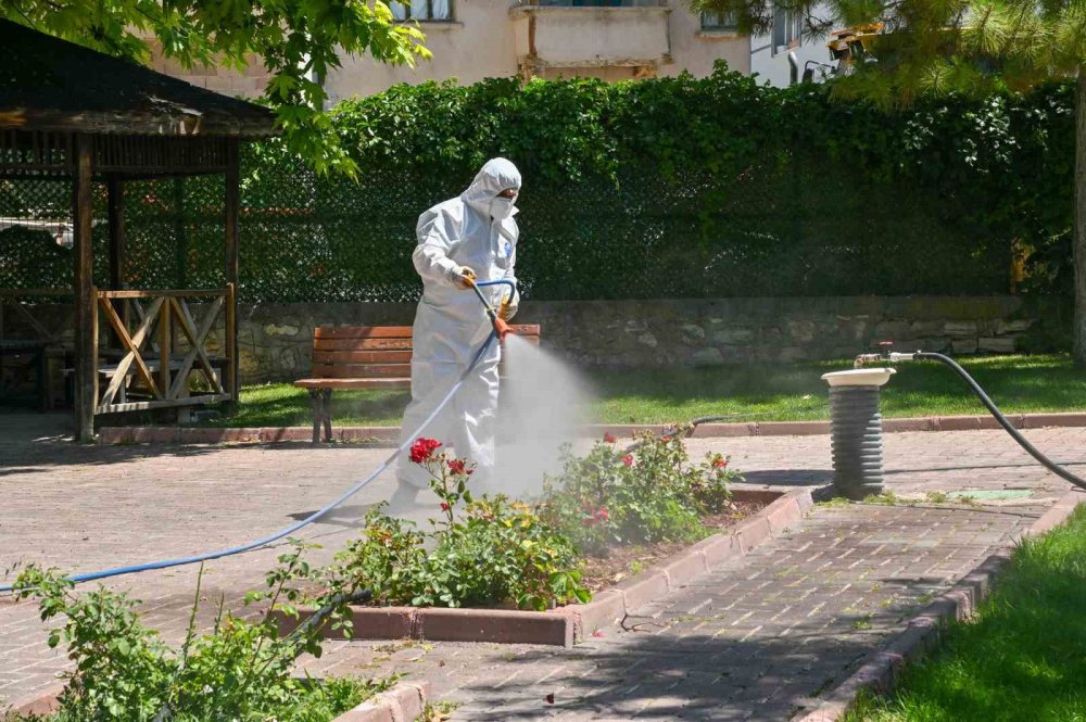 Selçuklu’da Yaz Boyu Haşereyle Mücadele: İlaçlama Çalışmaları Ekim’e Kadar Sürecek