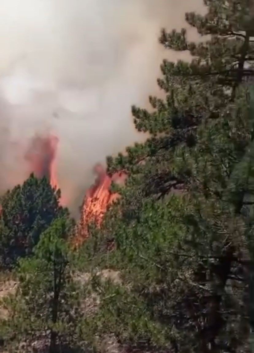 Konya'nın Ciğerleri Alev Alev Yanıyor