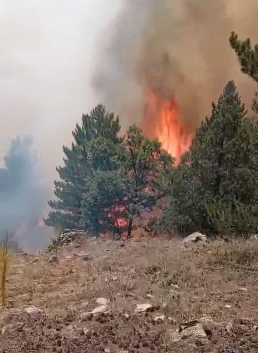Konya'nın Ciğerleri Alev Alev Yanıyor