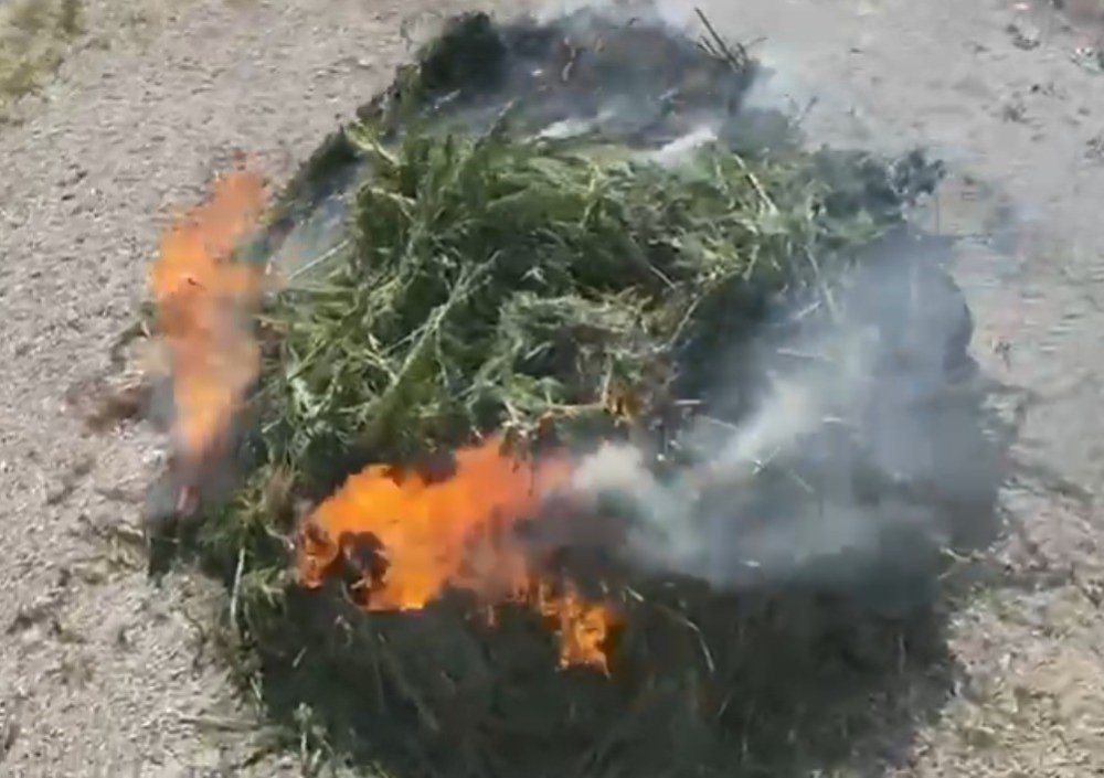 Narcos Dizi Sahnesi Gibi