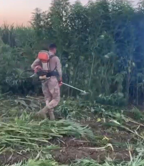 Narcos Dizi Sahnesi Gibi