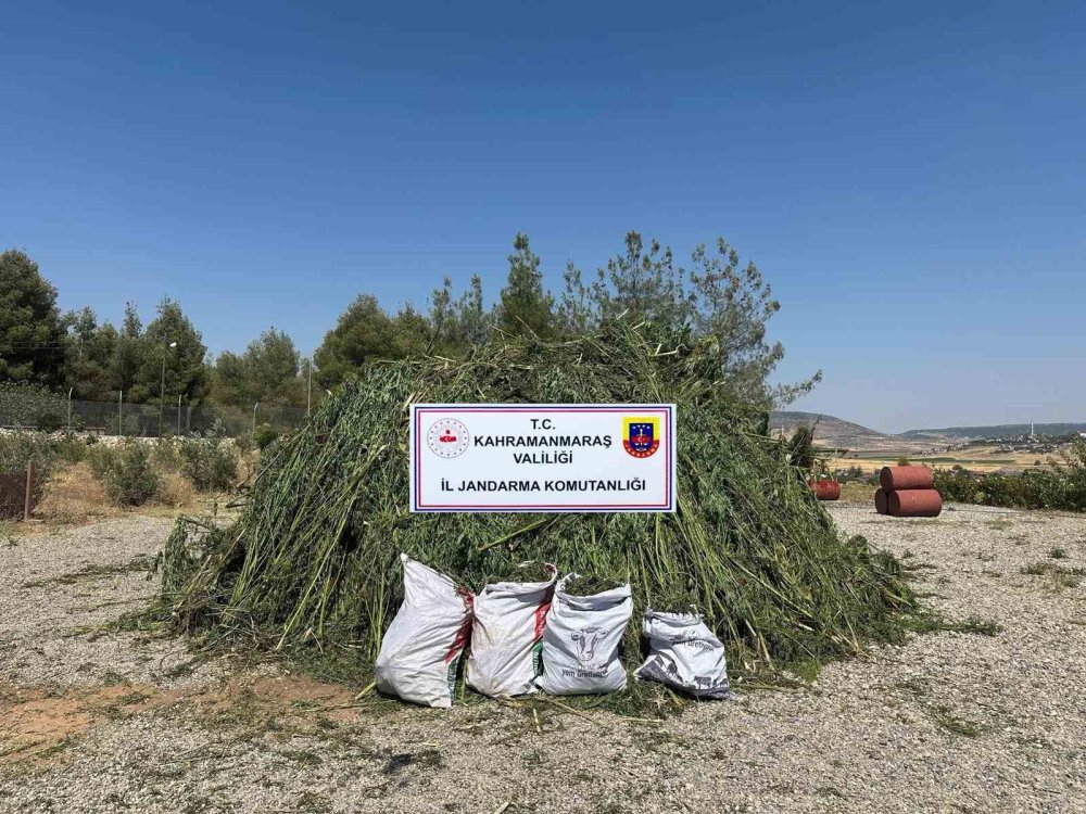 Narcos Dizi Sahnesi Gibi