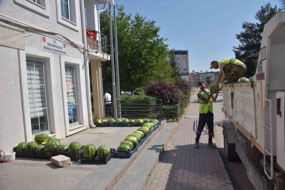 Tarlada 1 Lira, Markette 10 Lira: Belediye Duruma El Koydu