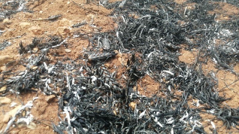 Balya makinesinden çıkan kıvılcım felakete yol açtı