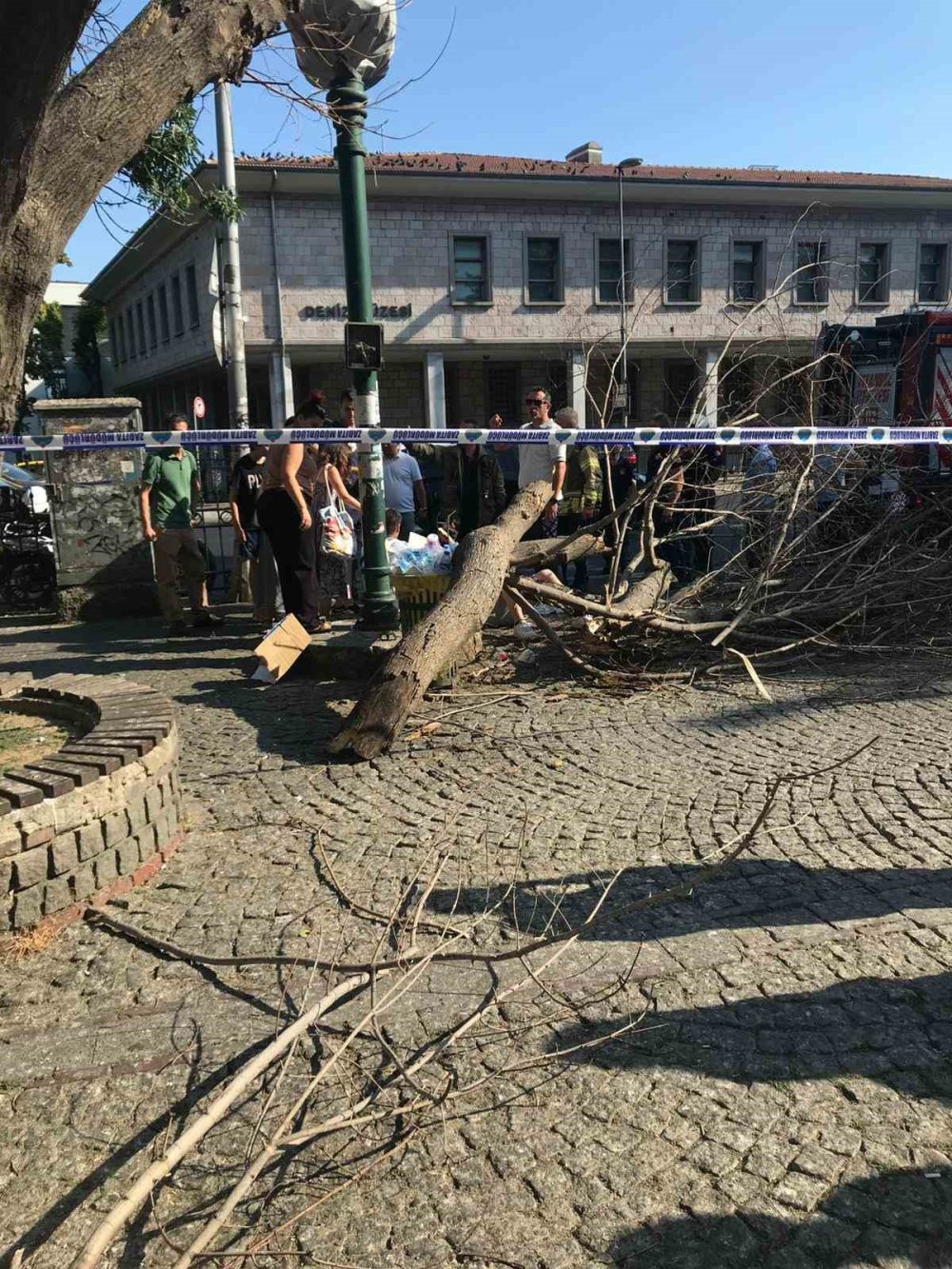 Kaldırımda yürürken üzerlerine ağaç devrildi