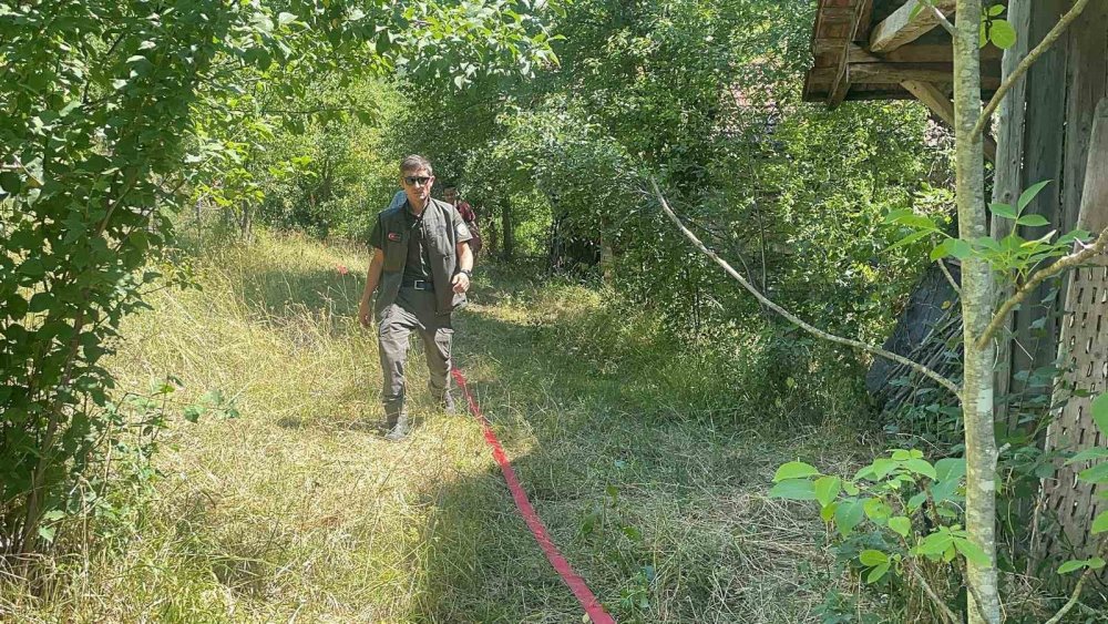 Kopan yüksek gerilim hattı teli yangına sebep oldu