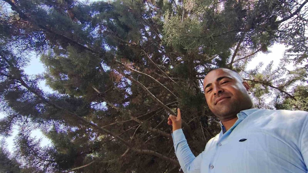 Fareyi yutmaya çalışan yılanla göz göze geldi