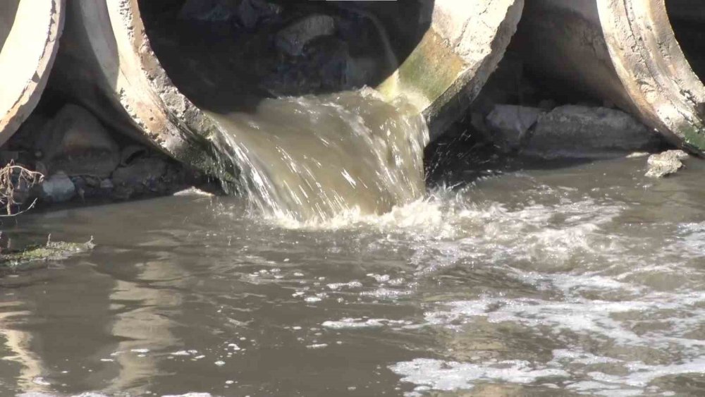 Mahalleli canından bezdi: Bir yanda sıcak, bir yanda koku
