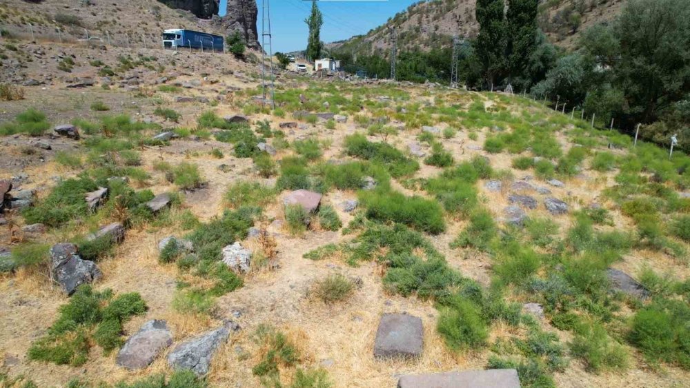 Tarihi mezarlık definecilerin hedefi oldu