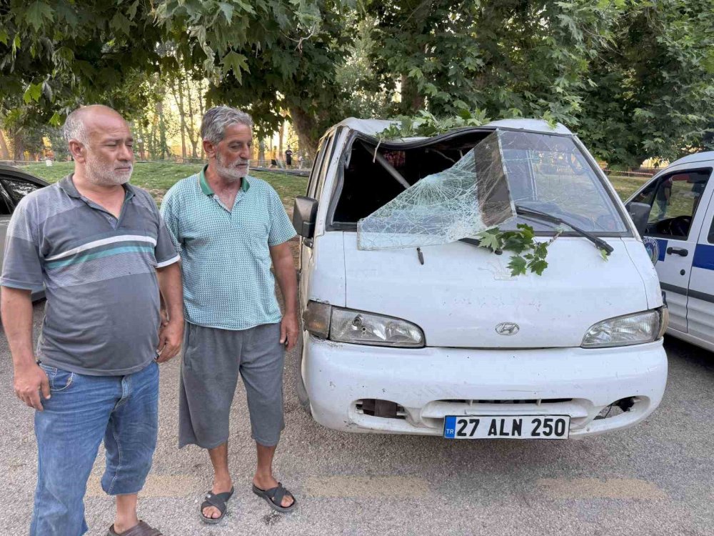 Çınar ağacının dalı piknik yapanların üzerine devrildi: 11 yaralı
