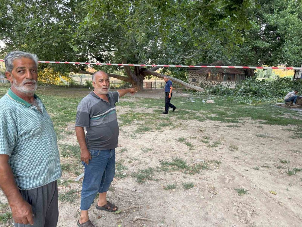 Çınar ağacının dalı piknik yapanların üzerine devrildi: 11 yaralı