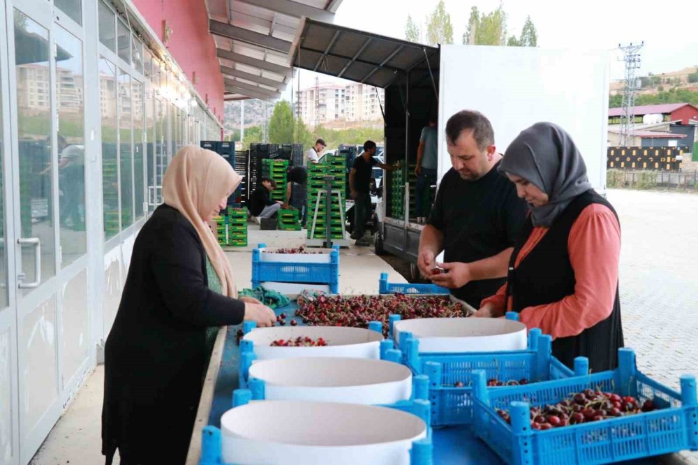 Konya'nın yiyemediği kirazı dünya da yiyemeyecek
