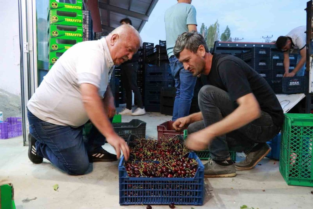 Konya'nın yiyemediği kirazı dünya da yiyemeyecek