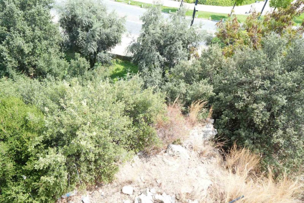 Antalya'da çocukların varyant macerası hastanede bitti