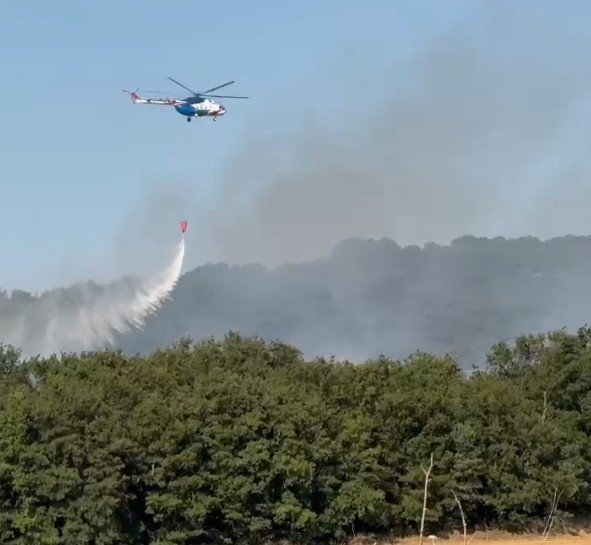 Bilecik'in ciğerleri soldu