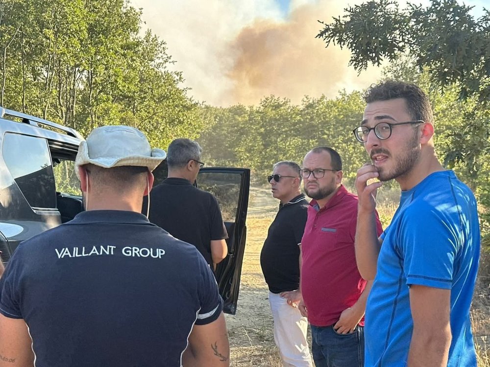 Bilecik'in ciğerleri soldu