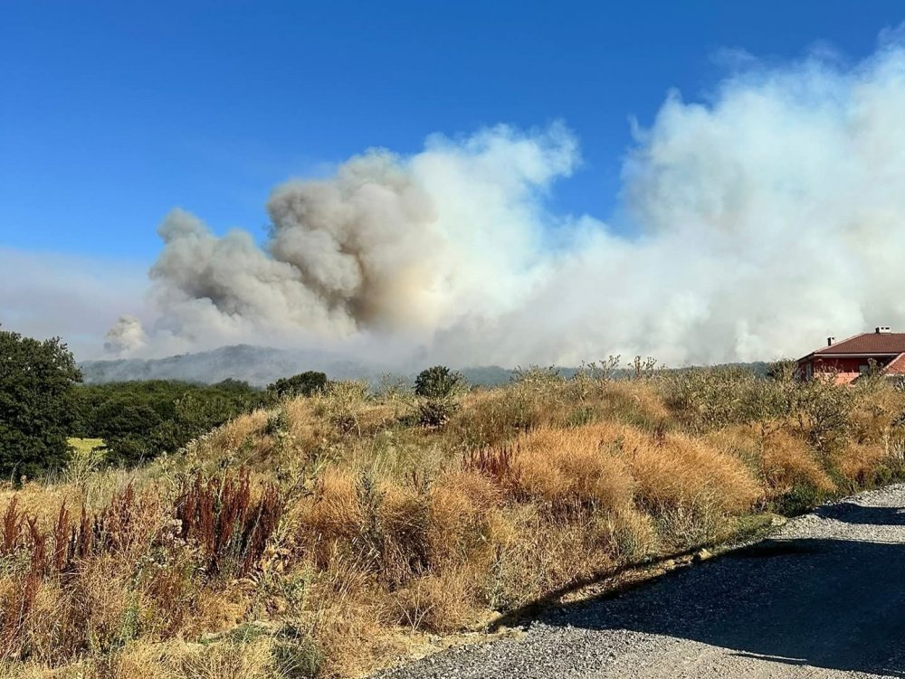 Bilecik'in ciğerleri soldu