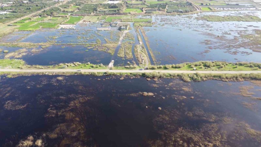 Mileyha'nın geleceği endişelendiriyor