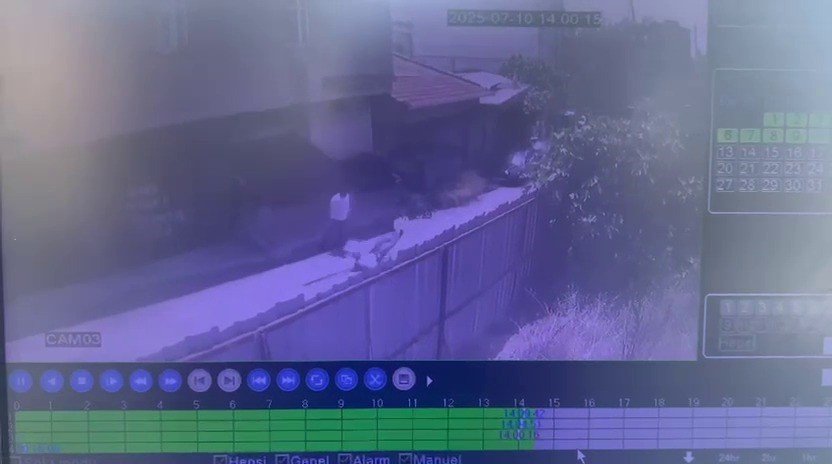 Sır ölümün perde arkası: Havalı tüfekle 142 metreden vuruldu