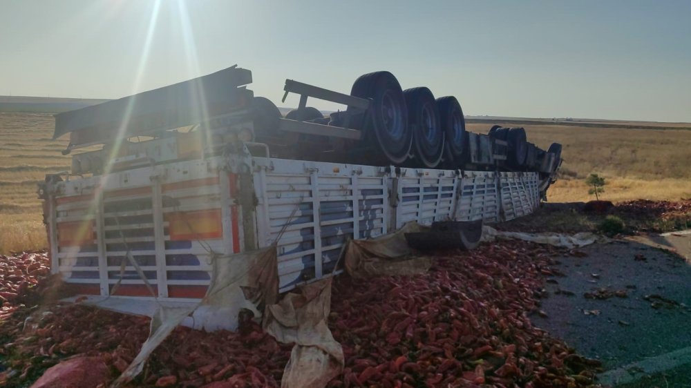 20 ton salçalık biber kazada ziyan oldu