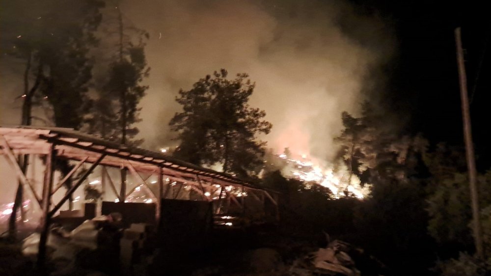 Bilecik yanıyor: Biri söndürülemeden bir yangın daha çıktı