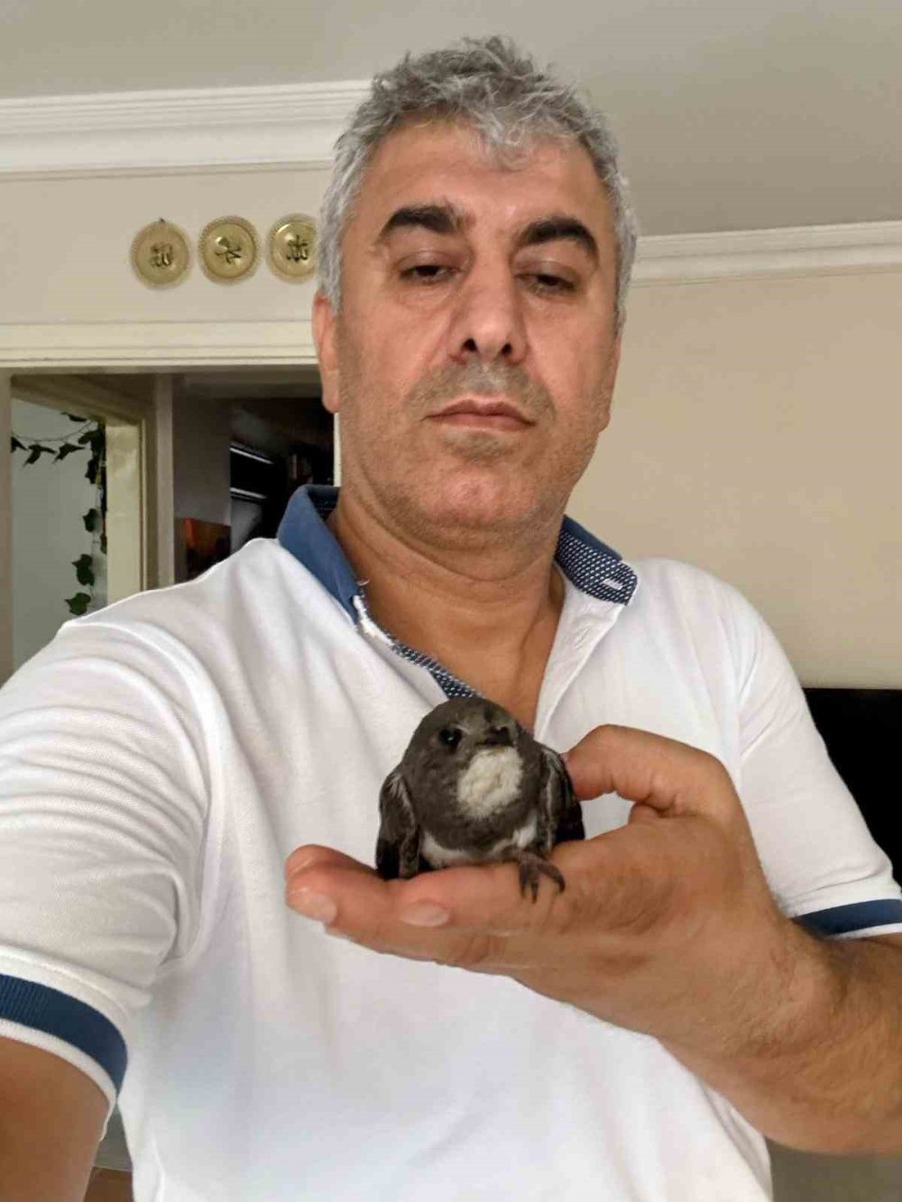 Tedavisini yaptığı ebabil kuşu 6 yıl sonra teşekküre geldi