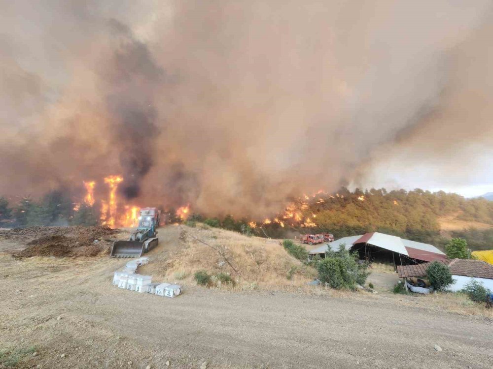 Bilecik günlerdir yanıyor! Alevler köyleri tehdit ediyor