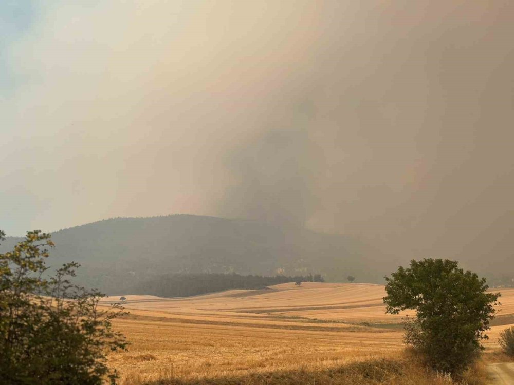 Bilecik yangını kısmen kontrol altında: Söndürmek için yoğun mücadele var