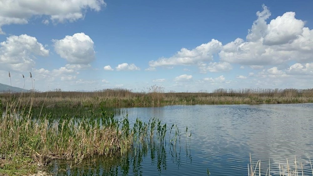 Eber Gölü alarm veriyor: Bolvadin'de 1 metreyi aşan çökmeler görüldü