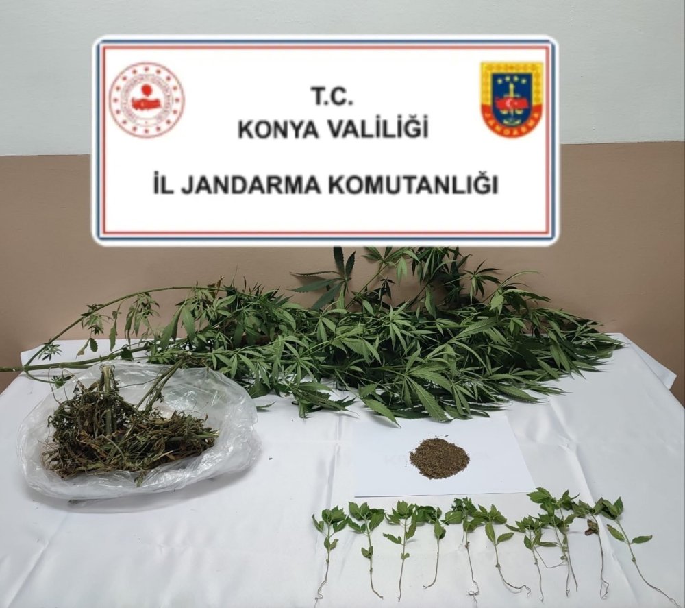 Konya’da Uyuşturucu Operasyonları: Kenevir Tarlası, Kubar Esrar ve Sentetik Hap Ele Geçirildi