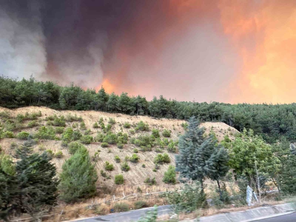 Orman Yangını Etkisini Artırdı: D-650 Karayolu Ulaşıma Kapatıldı