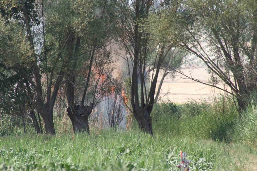 Tarlada hasat yaparken ekinlerini yaktı