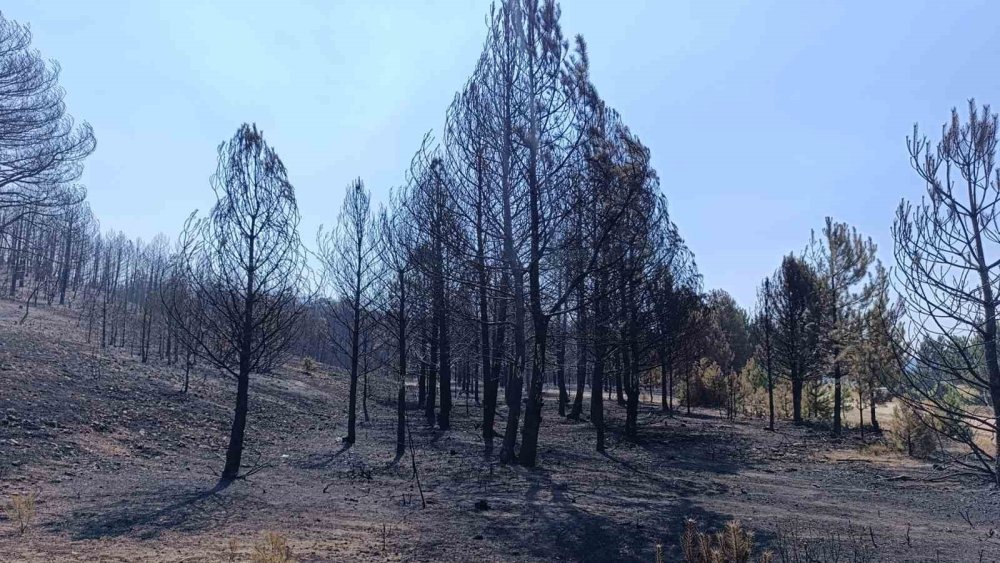 Alevler arasında 10 hayat söndü, yangın sönmedi