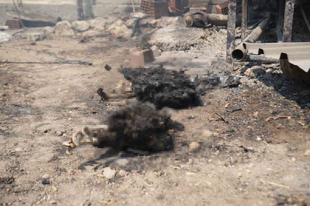 Alevler, maddi manevi ne varsa yaktı geçti