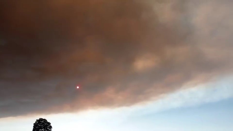 Bilecik’teki yangının dumanları İznik ve Yenişehir’den görüldü