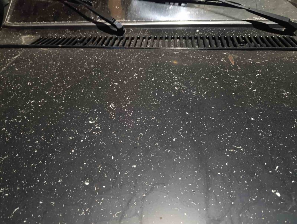 Bursa’yı duman ve kül kapladı