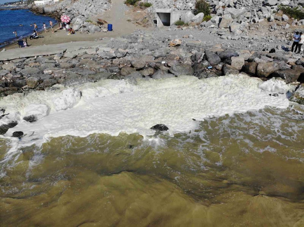 Denizin yüzeyinde beliren beyaz tabaka tedirgin etti