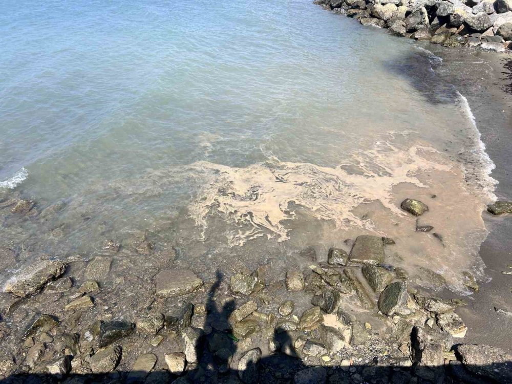 Denizin yüzeyinde beliren beyaz tabaka tedirgin etti