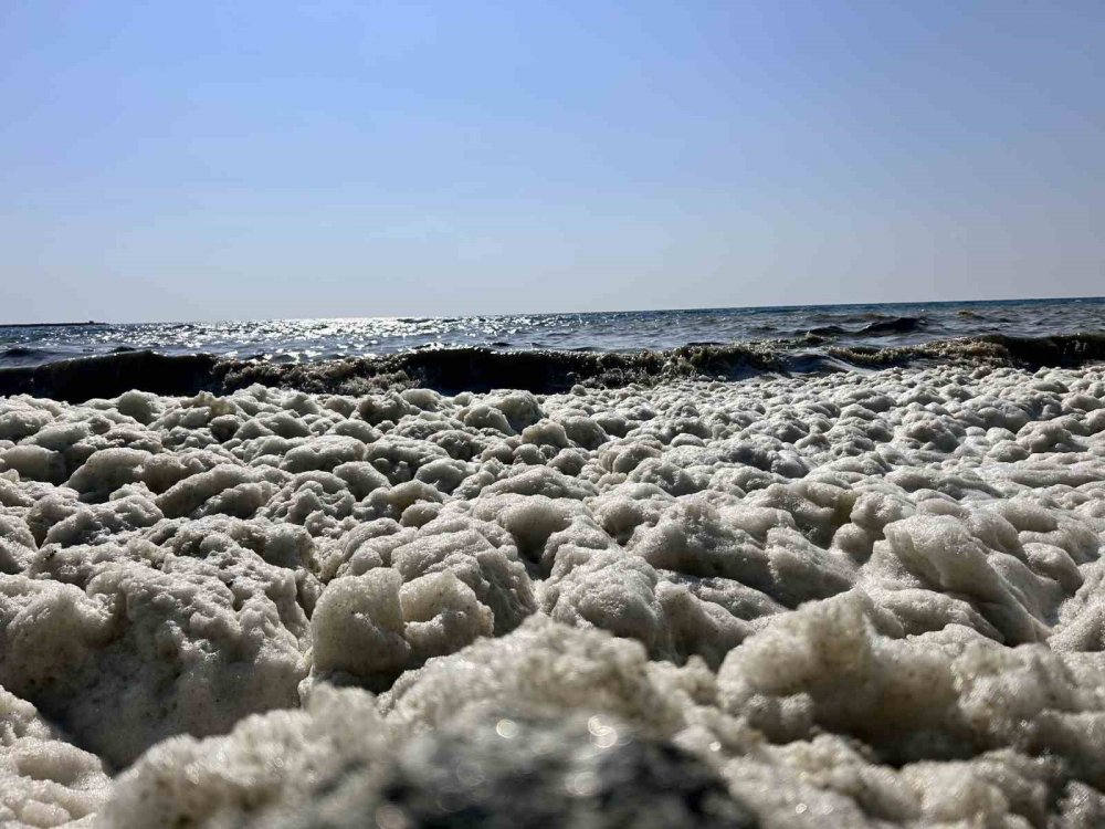Denizin yüzeyinde beliren beyaz tabaka tedirgin etti