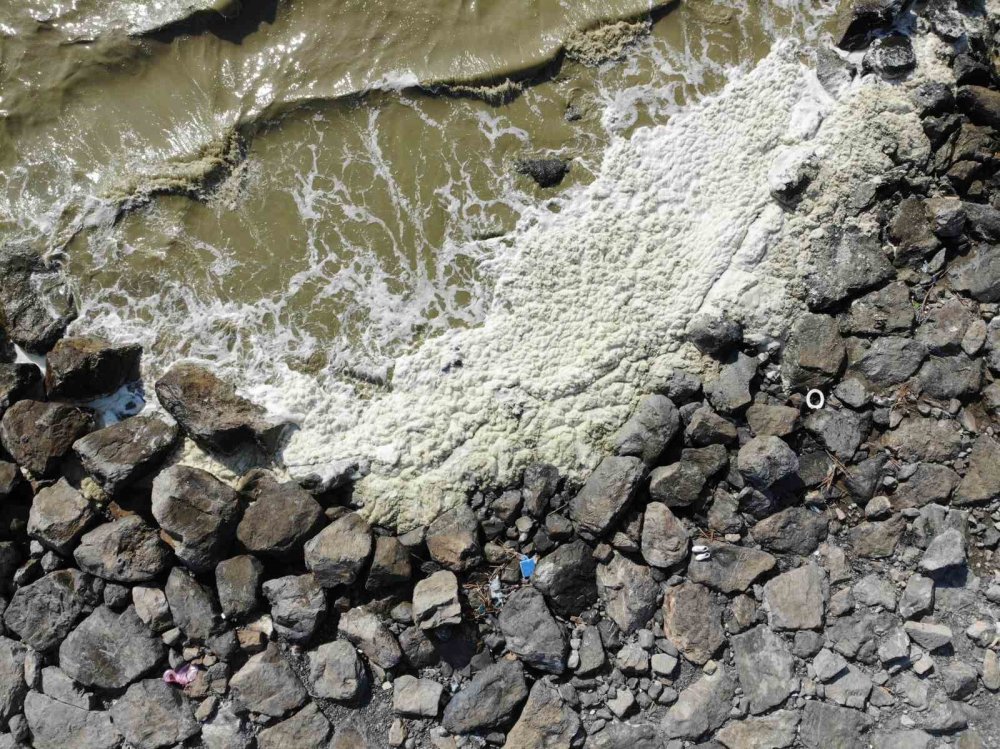 Denizin yüzeyinde beliren beyaz tabaka tedirgin etti