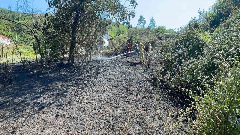 Kırık Soda Şişesi Yangına Neden Oldu: Alevler Son Anda Söndürüldü