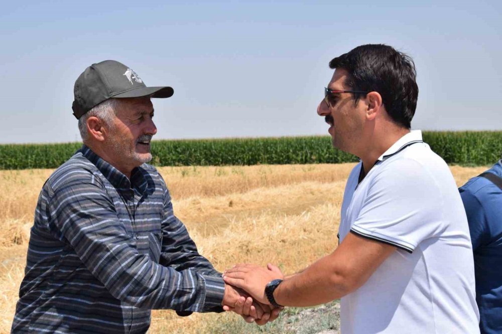 Konya Ovası'nda sezonun son hasatları yapılıyor