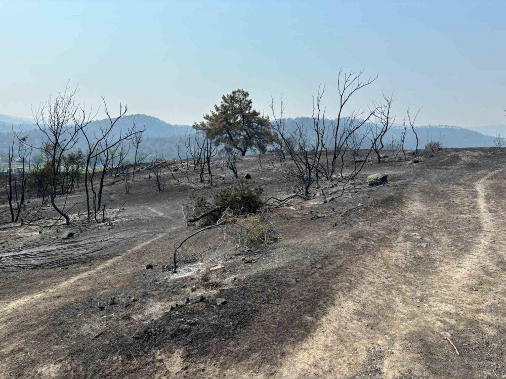 2 Büyük Yangın Kontrol Altına Alındı, Antalya'da Yeni Yangın Çıktı