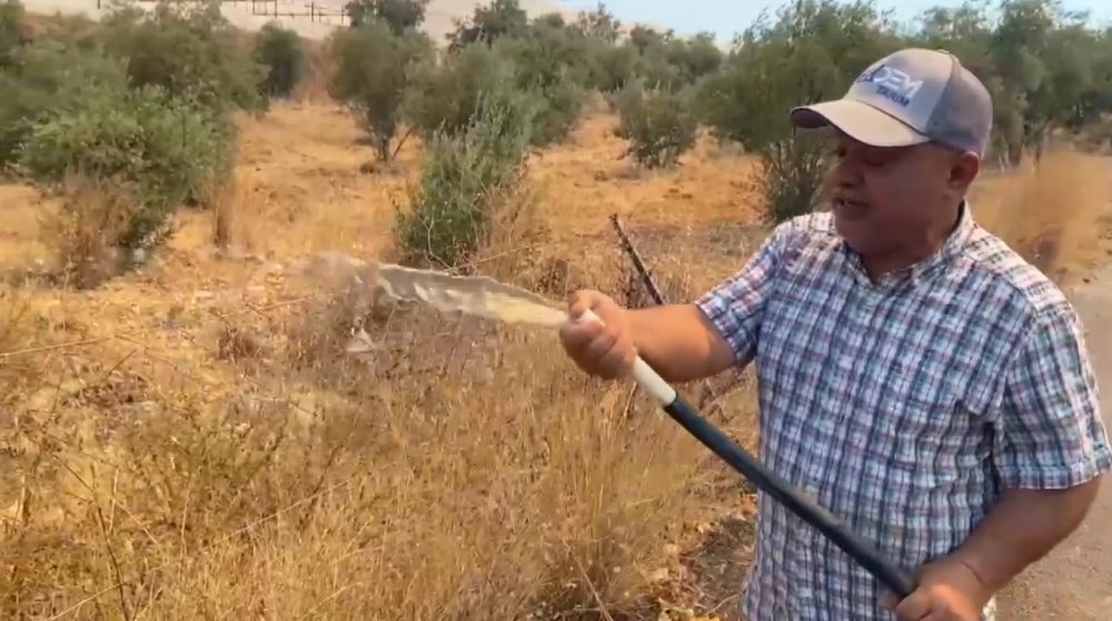 Antalya alevlerin içinde kaldı: Üç farklı noktada orman yangını