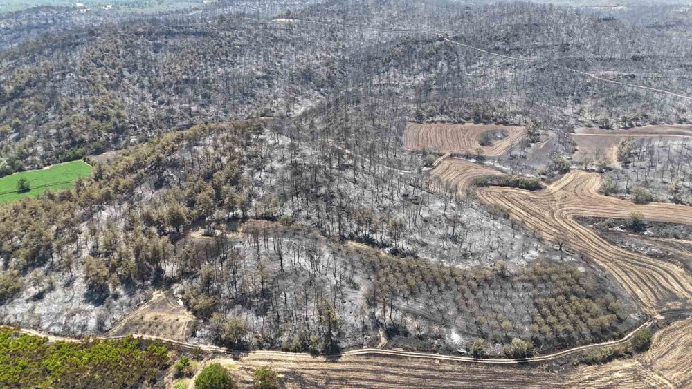 Bilecik’te yanan ormanlık alan havadan görüntülendi