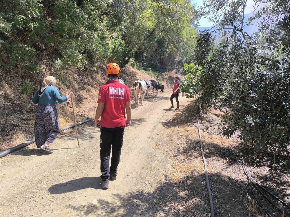 Gazipaşa’da orman yangını yerleşim yerlerine ulaştı: Evler tahliye edildi