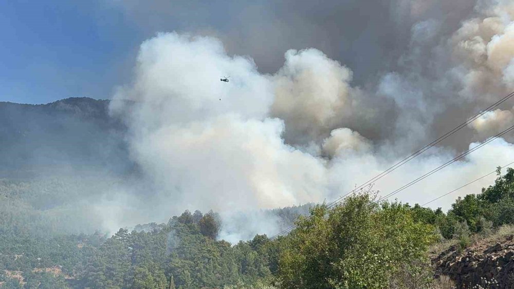 Gazipaşa’da orman yangını yerleşim yerlerine ulaştı: Evler tahliye edildi