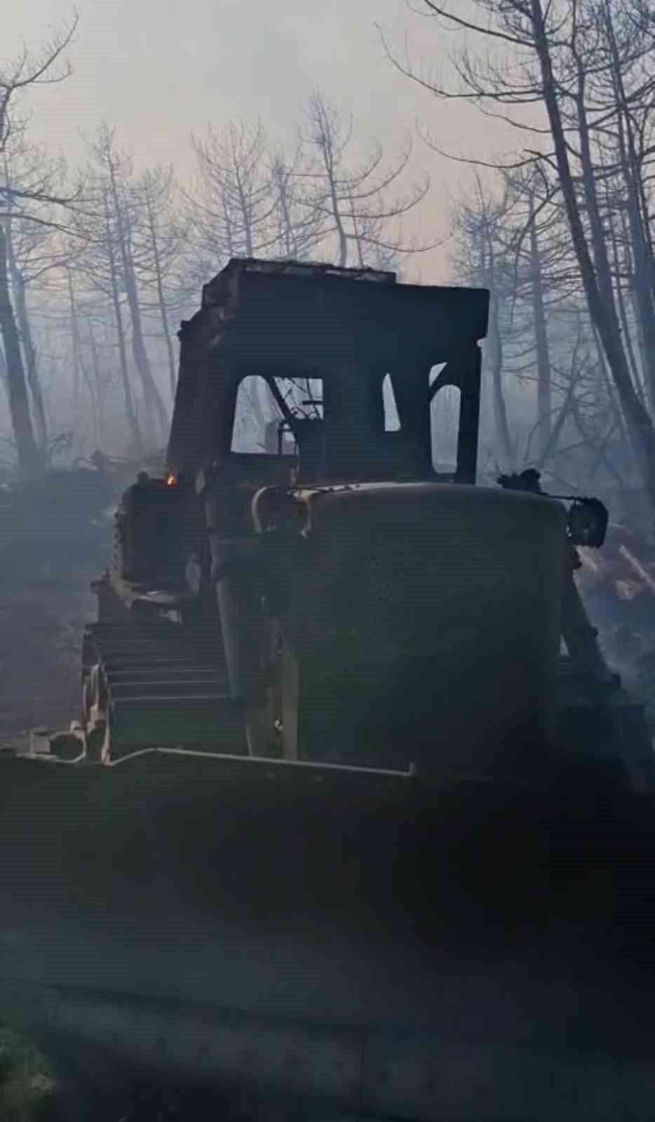 Orman kahramanları burada şehit oldu