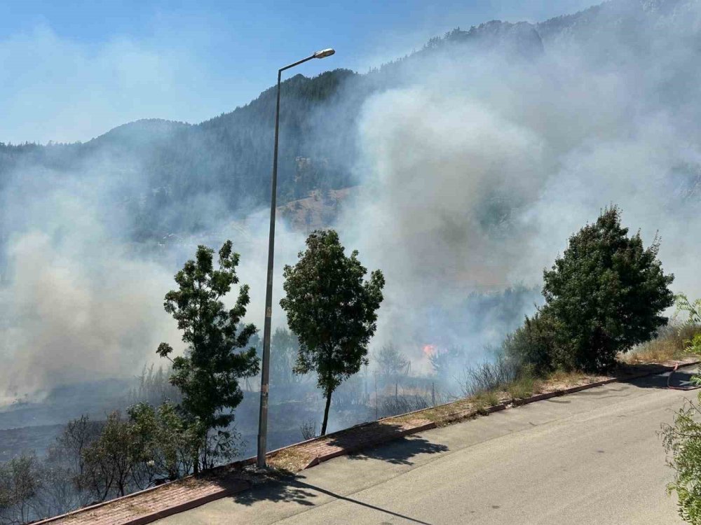 Otluk alanda yangın çıktı, hızlı müdahaleyle bahçeler kurtarıldı